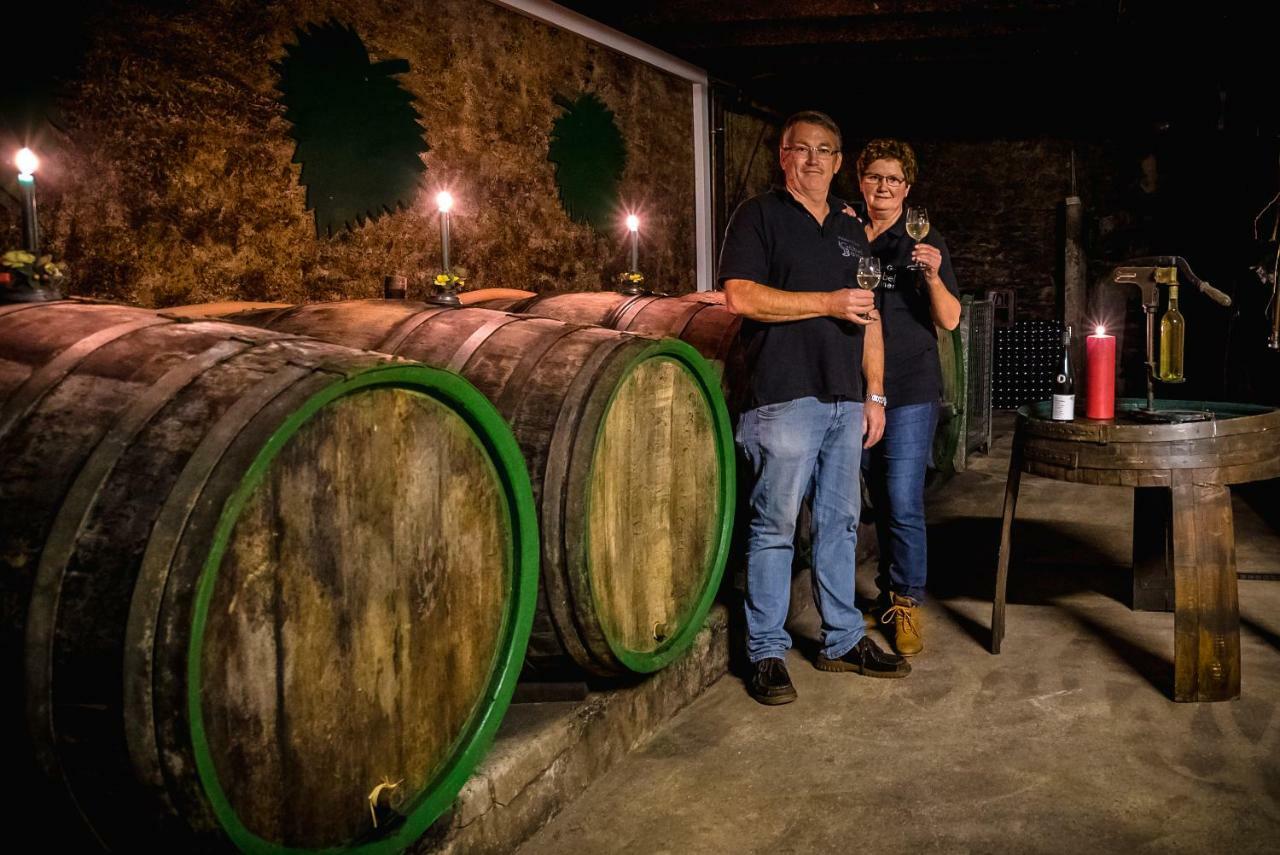 Вилла Ferienweingut Goebel Трабен-Трарбах Экстерьер фото